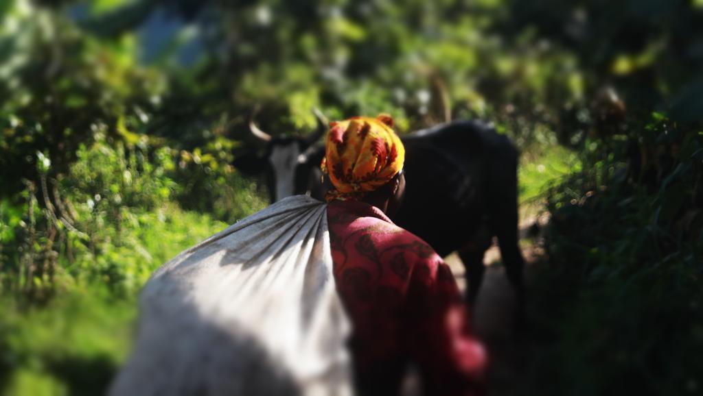 Amasiko Homestay Lake Bunyonyi Kabale Екстериор снимка