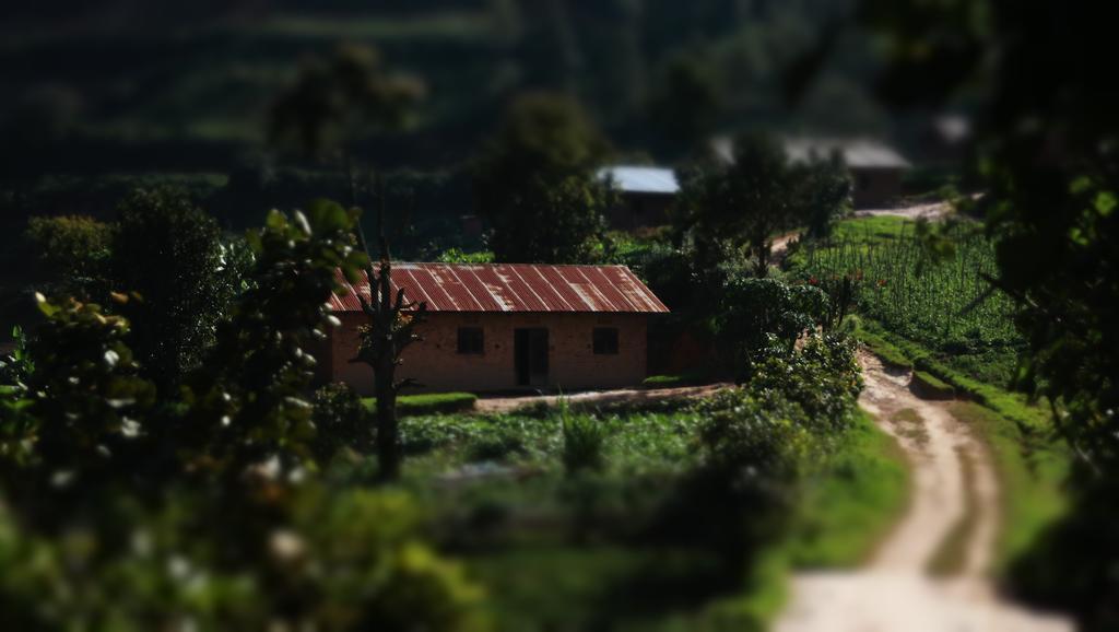Amasiko Homestay Lake Bunyonyi Kabale Екстериор снимка